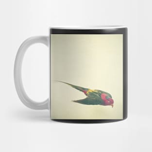 Bird Study #4 Mug